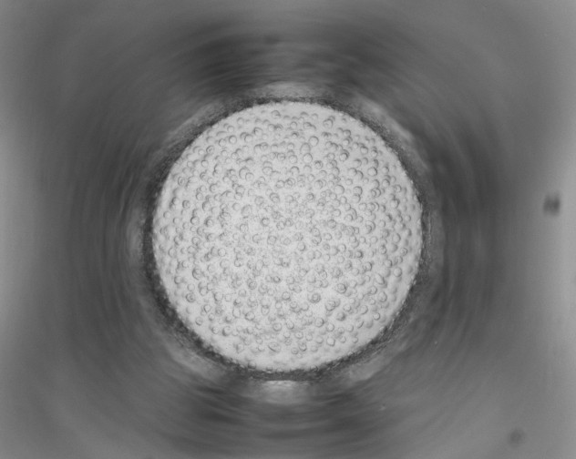 X0000116880153201002021155