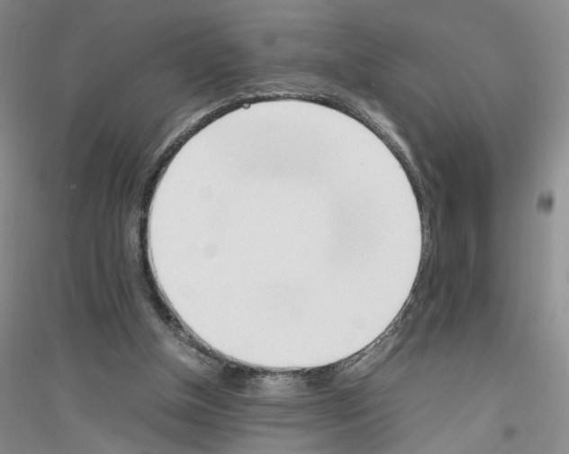 X0000116880154201002021155