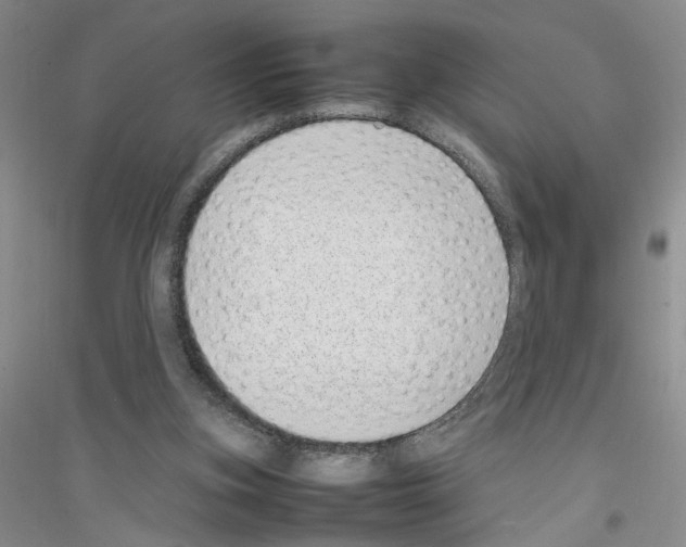 X0000116880155201002021155