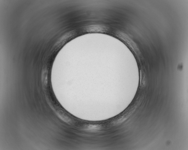 X0000116880157201002021155