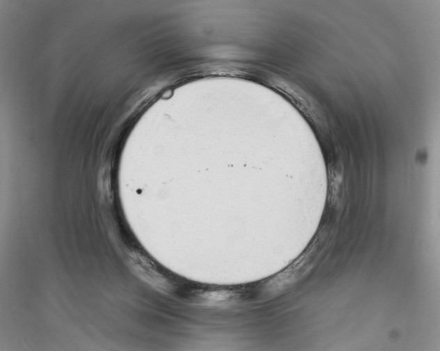 X0000116880158201002021155