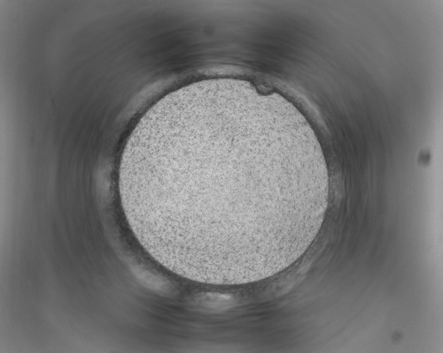 X0000116880159201002021155