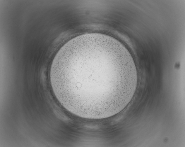 X0000116880162201002021155