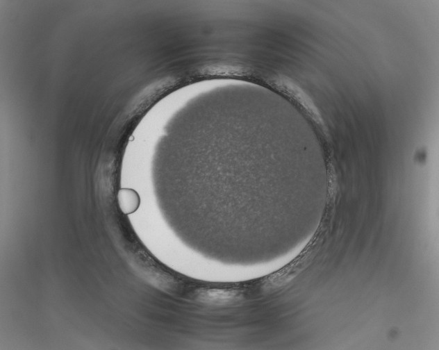 X0000116880163201002021155