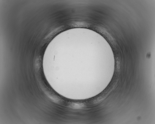 X0000116880165201002021155
