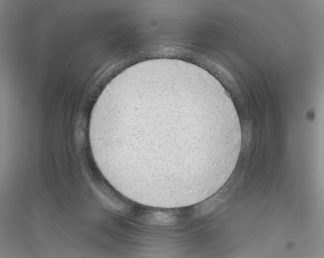 X0000116880166201002021155