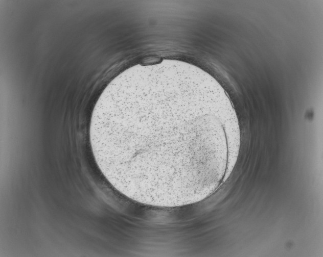 X0000116880170201002021156