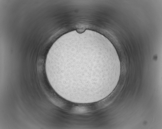 X0000116880171201002021156