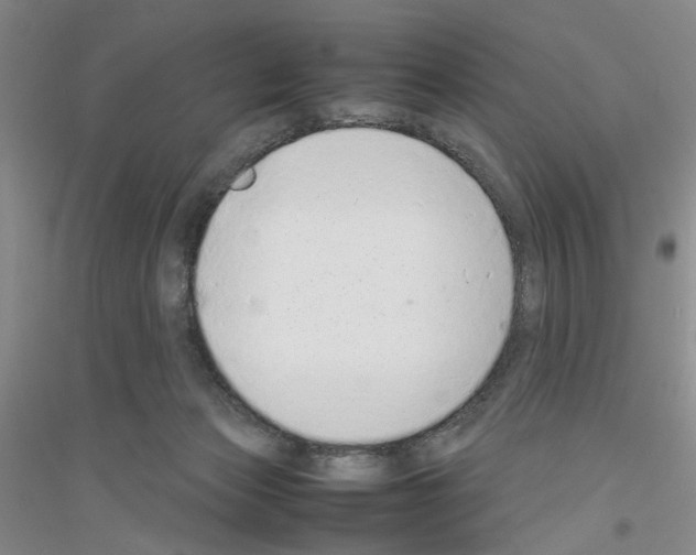 X0000116880173201002021156
