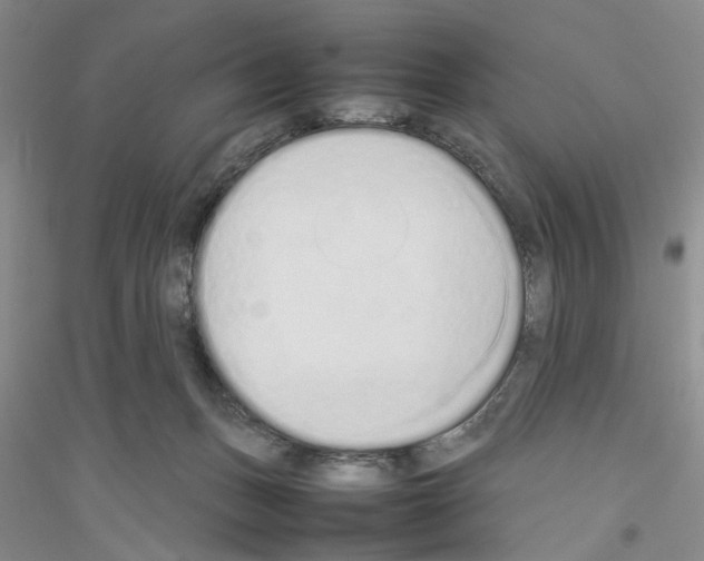 X0000116880175201002021156