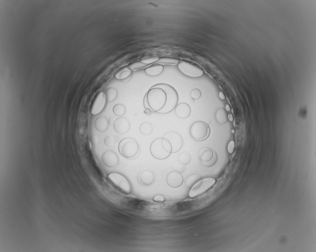 X0000116880178201002021156