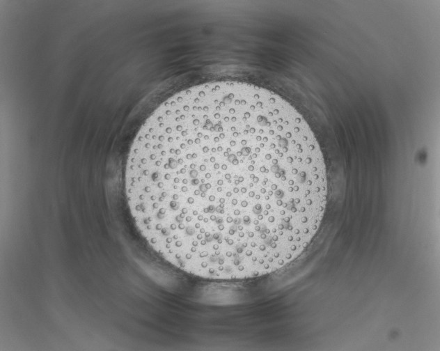 X0000116880179201002021156