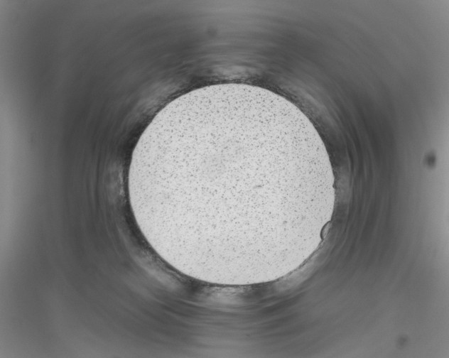 X0000116880182201002021156