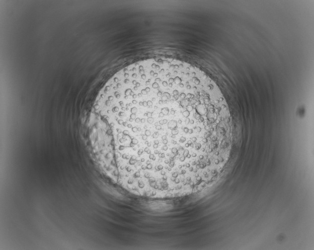 X0000116880183201002021156
