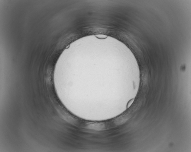 X0000116880185201002021156
