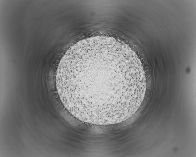X0000116880186201002021156