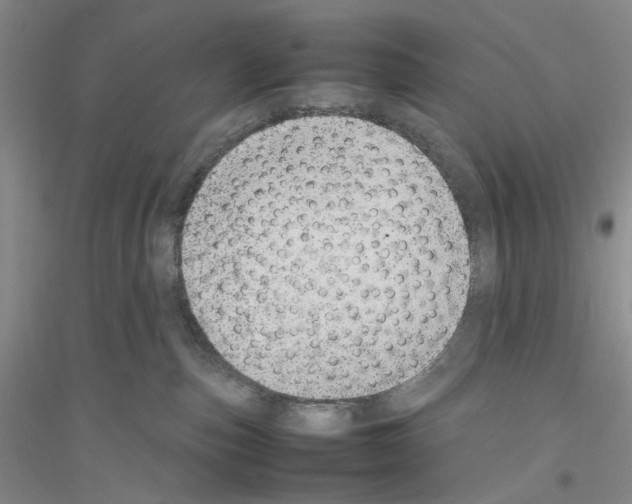 X0000116880187201002021156
