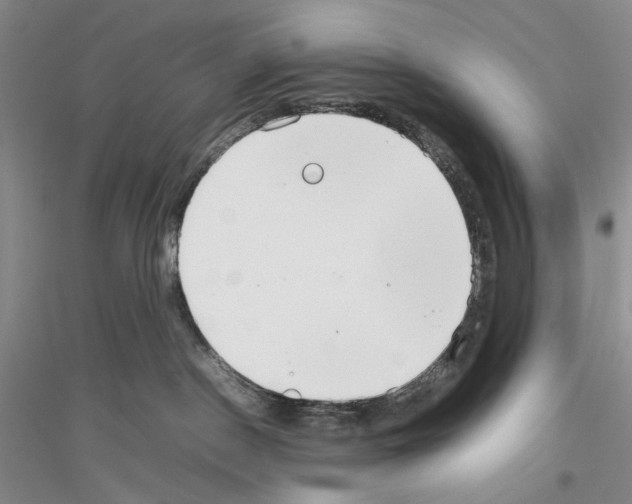 X0000116880190201002021156