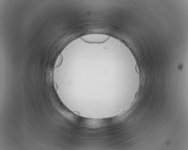 X0000116880191201002021156