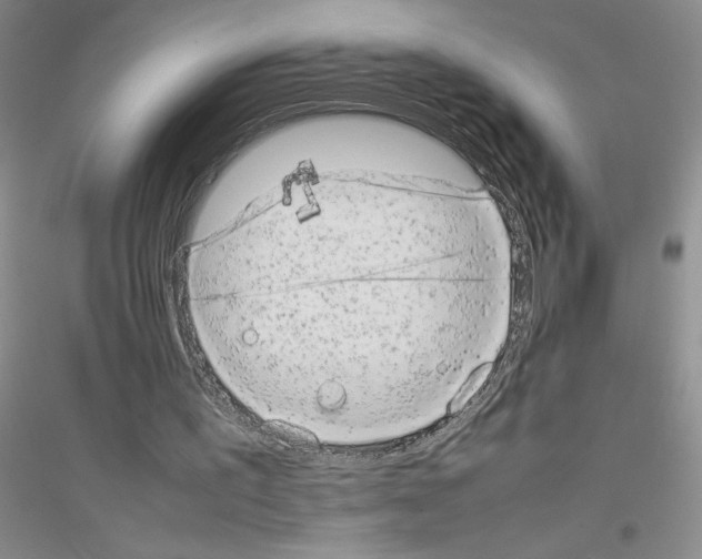 X0000116880195201002021155