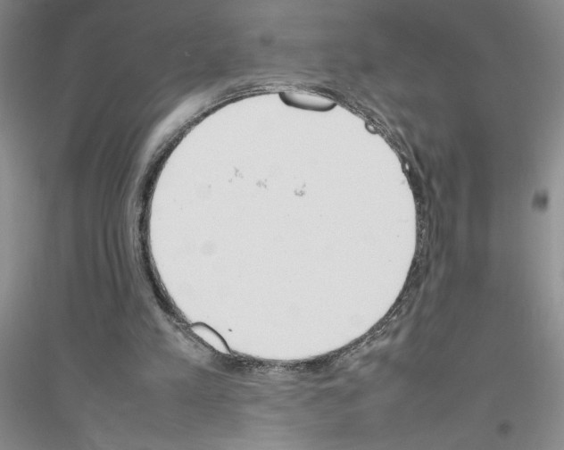 X0000116880197201002021155