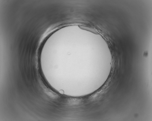 X0000116880198201002021155