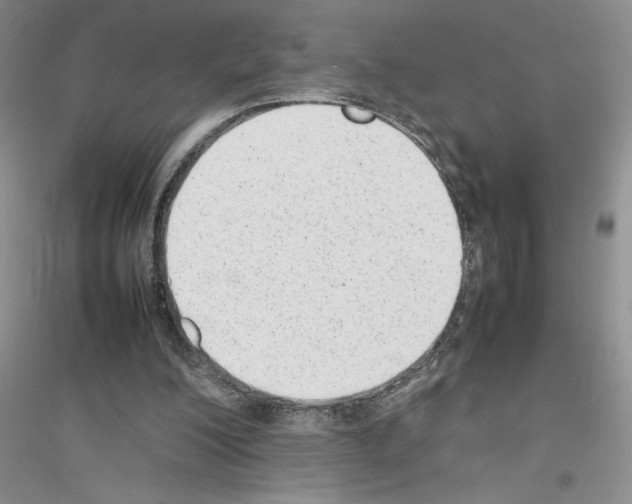 X0000116880200201002021155