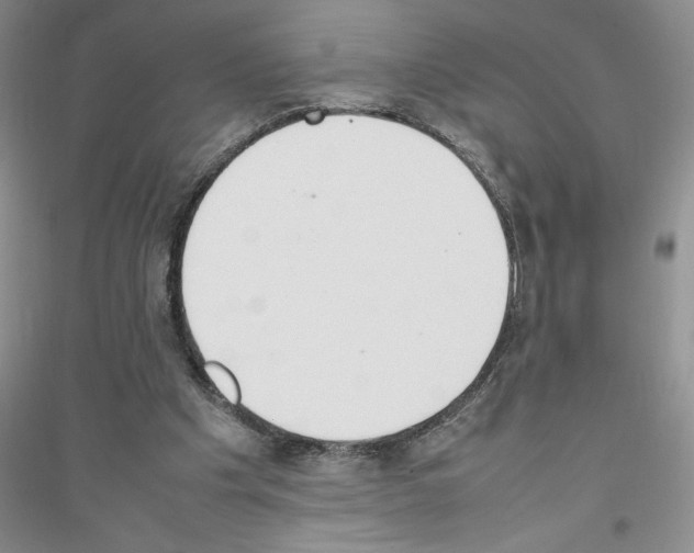 X0000116880201201002021155