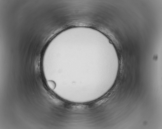 X0000116880202201002021155