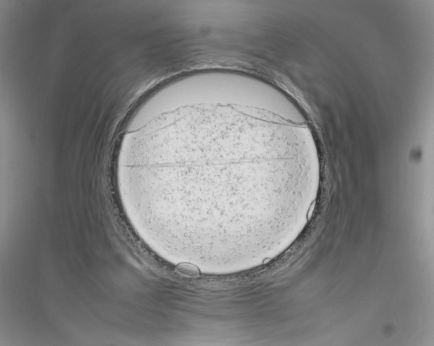 X0000116880203201002021155