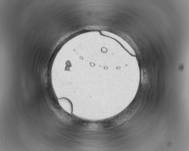 X0000116880204201002021155