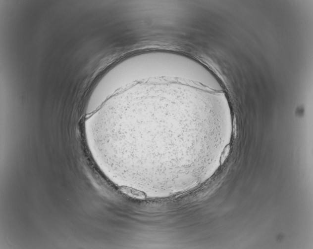 X0000116880205201002021155