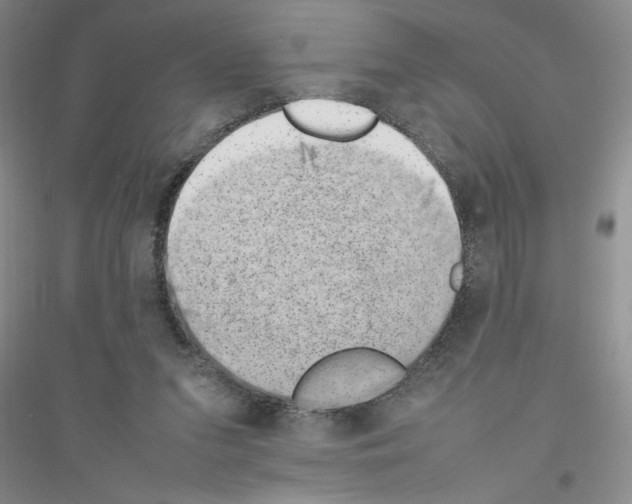 X0000116880207201002021155