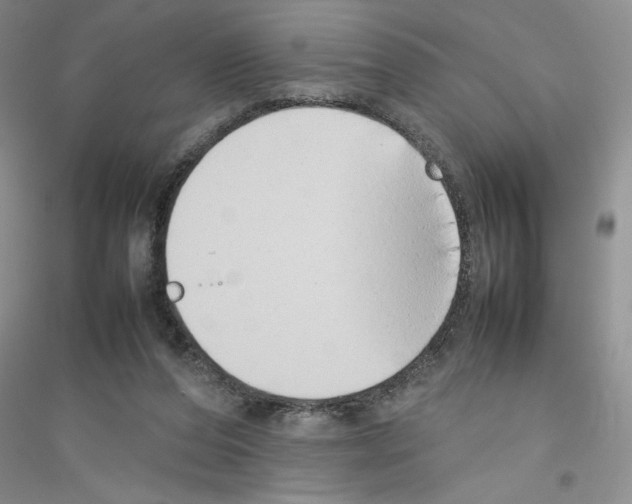 X0000116880208201002021155