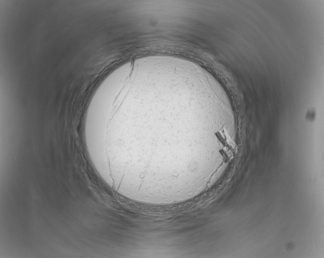 X0000116880209201002021155