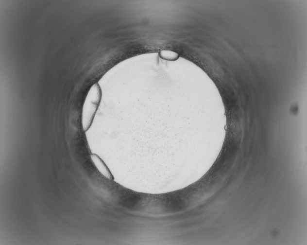 X0000116880211201002021155
