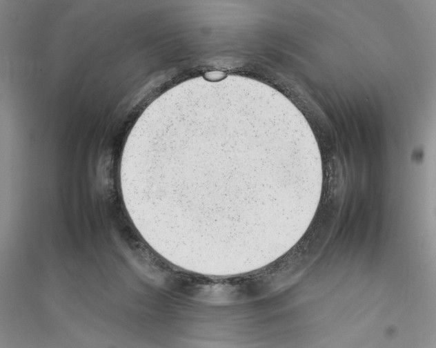 X0000116880212201002021155