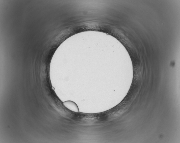 X0000116880213201002021155