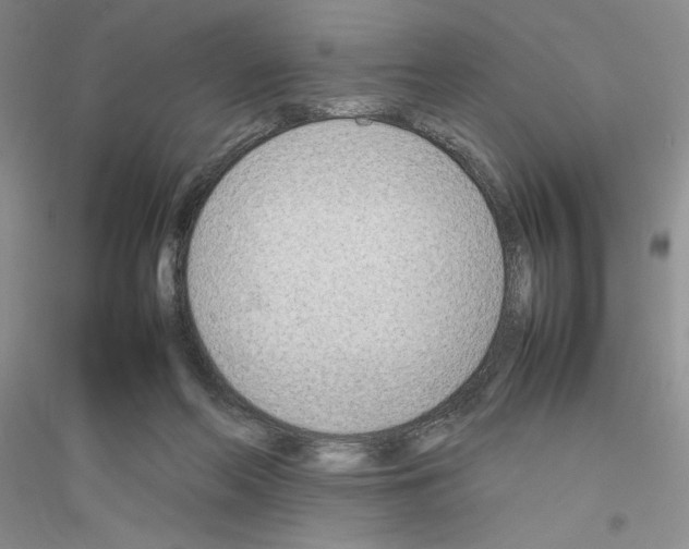 X0000116880214201002021155