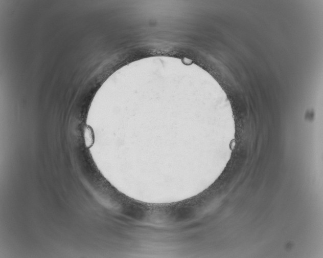 X0000116880215201002021155