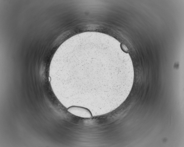 X0000116880216201002021155