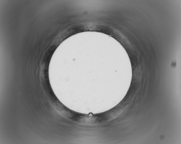 X0000116880217201002021155