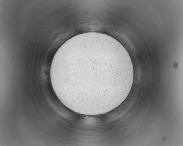 X0000116880218201002021155