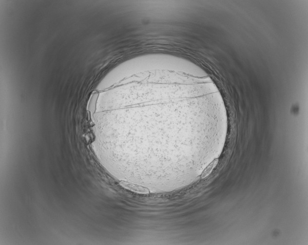 X0000116880219201002021155