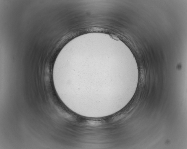 X0000116880220201002021155