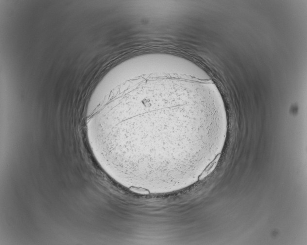 X0000116880221201002021155