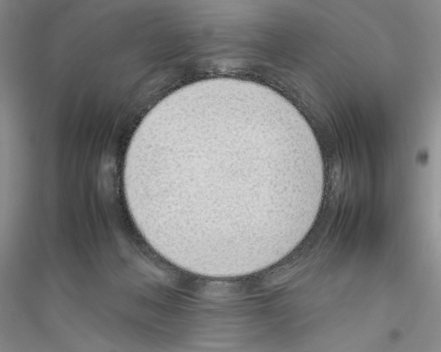X0000116880222201002021155