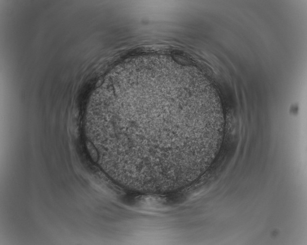 X0000116880223201002021155