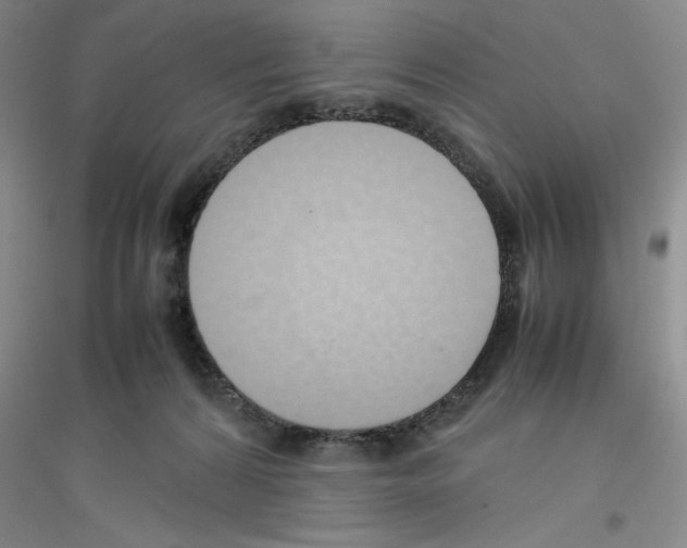 X0000116880224201002021155