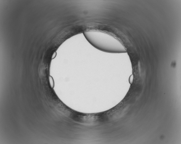 X0000116880225201002021155